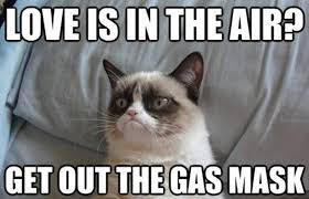 The 50 Funniest Grumpy Cat Memes | Complex via Relatably.com