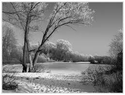 Starr ruht der See - Bild \u0026amp; Foto von Simon Brixel aus Winter ... - 4759228