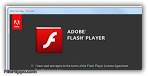 Adobe flash plugin