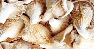 Oyster Mushrooms 101: Buying, Cleaning, Recipes (and More)