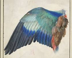 Albrecht Dürer watercolor painting