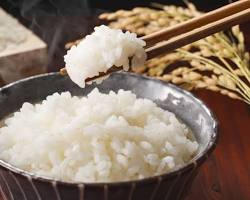 Image de riz à sushi cuit