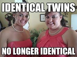 Fat Twin memes | quickmeme via Relatably.com