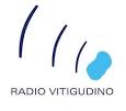 Resultado de imagen de radio vitigudino