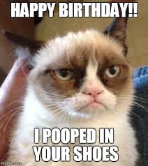 Image result for funny cat birthday pictures