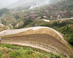 Tarasy Ryżowe Smoczego Grzbietu w prowincji Yunnan