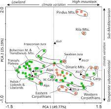 Tetraploids expanded beyond the mountain niche of their diploid ...