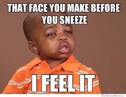 That Face You Make Before You Sneeze… | WeKnowMemes via Relatably.com