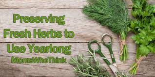 Greatest 11 celebrated quotes about fresh herbs pic German ... via Relatably.com