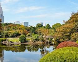 Image of Shinjuku Gyoen National Garden, Tokyo