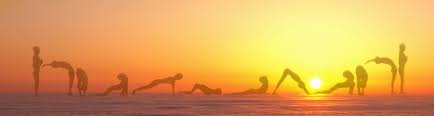 Image result for photos of yoga in the sunshine