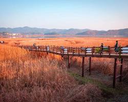 충남 서천 여행지 명소, AI로 생성