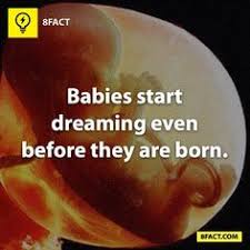 Fetus Development on Pinterest | Pregnancy 22 Weeks, Pregnancy 17 ... via Relatably.com
