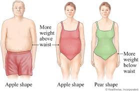 Image result for apple shaped body