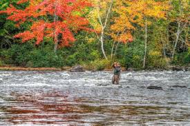 Image result for fall fishing pics