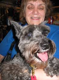 Susan Bengston with her mini-Schnauzer, Iris, a patient of Dr. Marty from Westchester. - drmartyshow-020