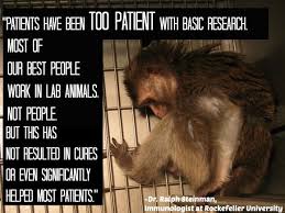 8 Reasons Why Animal Testing Doesn&#39;t Help Humans | Animal Testing ... via Relatably.com