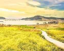 청산도 슬로길 해안산책로, AI로 생성