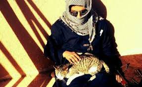 Image result for funny pictures cats and Islam