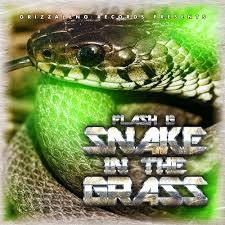 Image result for snakes in grass