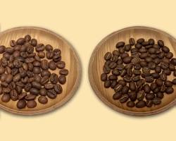 ロブスタ種コーヒー豆の画像