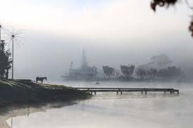 Image result for dalat mù sương