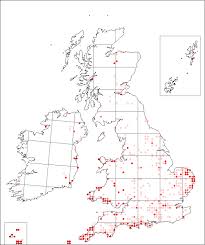 Silene gallica | Online Atlas of the British and Irish Flora