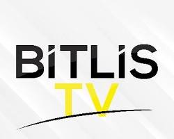 Bitlis TV logo resmi