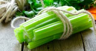 Image result for image of celery