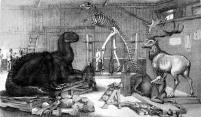 "The Unveiled Culprit of the Paleozoic Museum Vandalism in 1871"