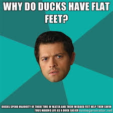 Why do ducks have flat feet? Ducks spend majority of their time in ... via Relatably.com