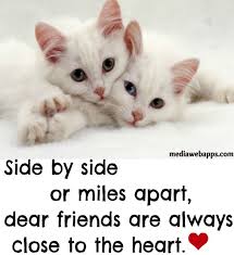 Image result for friends images with quotes