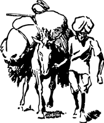 Image result for mules carrying load