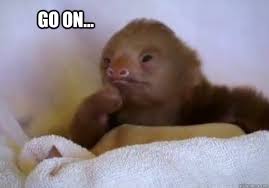 Intrigued Sloth memes | quickmeme via Relatably.com