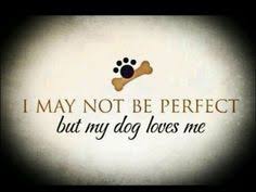 Image result for unconditional love from dogs quotes