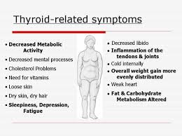 Image result for typhoid fever patient