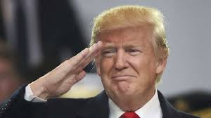 Image result for trump saluting pics