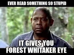 My favorite meme on the Internet as of today; Forest Whitaker Eye ... via Relatably.com