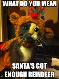 Top Christmas Memes - eastbournestudent.com via Relatably.com