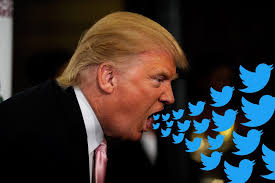 Image result for trump ranting twitter  images
