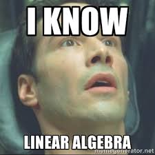 I know Linear Algebra - i know kung fu | Meme Generator via Relatably.com