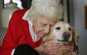 Image result for dogs & the elderly