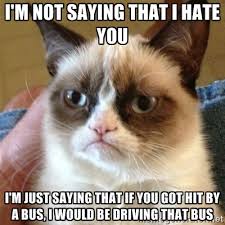 AngryCat-driving-meme.jpg via Relatably.com