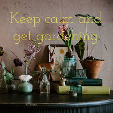 Keep calm and get gardening