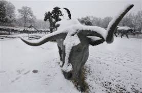 Image result for DFW snow pictures