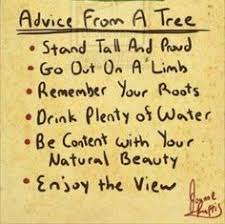 Arbor Day on Pinterest | Arbors, Charlie Brown and Life Is Good via Relatably.com