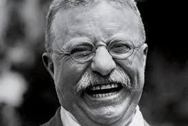 Image result for theodore roosevelt