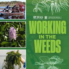 Working In The Weeds