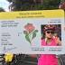 Sydney cyclists stage mass ride in protest against new fines, ID laws