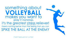 Volleyball Quotes @iQuoteVball | Klear via Relatably.com